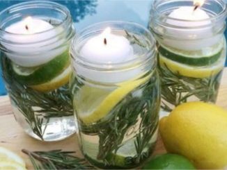 Astuces naturelles anti-moustiques