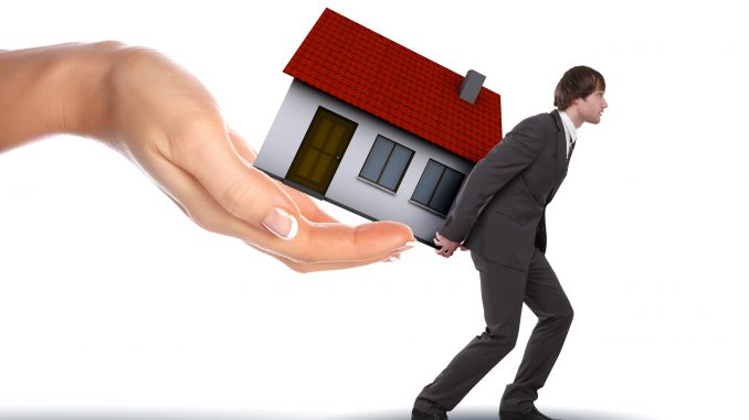 agent immobilier, bâtiment, professionnel agent immobilier, bâtiment, professionnel