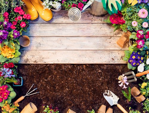 Gardening Frame - Tools And Flowerpots On Wooden Table And Dirt