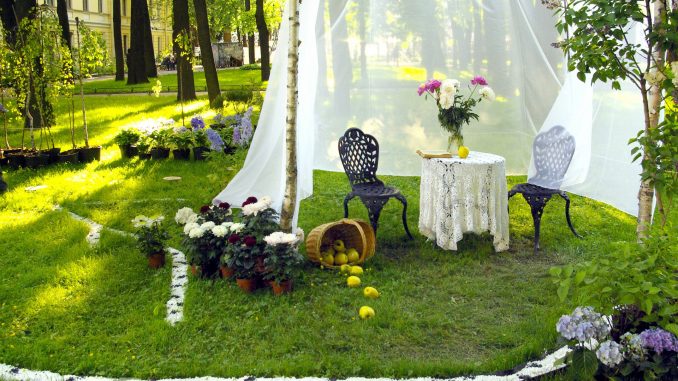 jardin décoration