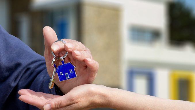 bail et profession immobilière